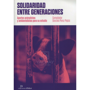 Solidaridad Entre Generaciones